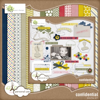 121029_sd_Confidential