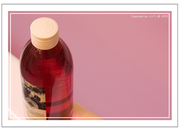 Photo_semaine_03